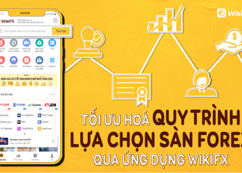 Tối ưu hóa quy trình lựa chọn sàn Forex qua ứng dụng WikiFX