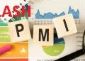 Flash Manufacturing PMI là gì?