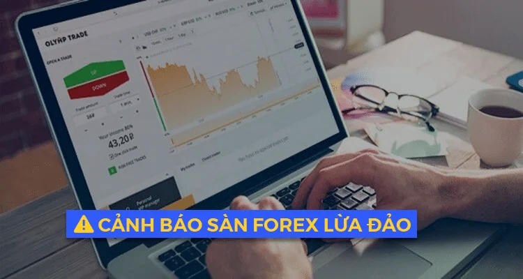 Cảnh báo sàn Forex lừa đảo