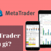 Metatrader 4 là gì? Hướng dẫn sử dụng phần mềm MT4 cho nhà đầu tư mới