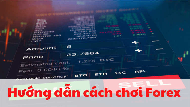 Cách chơi Forex cho người mới: Hướng dẫn bắt đầu, quản lý rủi ro và chọn sàn