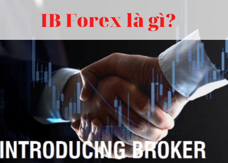 IB Forex là gì? Những kiến thức cần nắm dành cho nghề Introducing Broker
