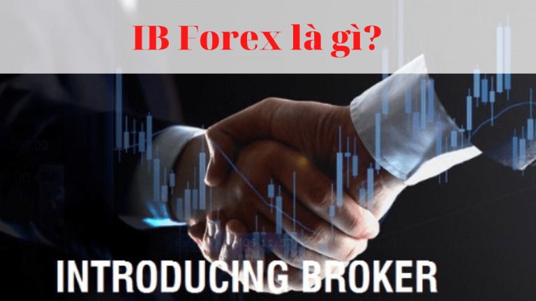 IB Forex là gì? Vai trò, cách hoạt động và thu nhập của Introducing Broker