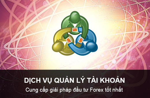 Quản lý tài khoản