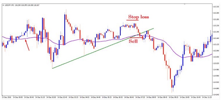 Đặt Lệnh Và Đừng Quên Stop Loss Và Take Profit