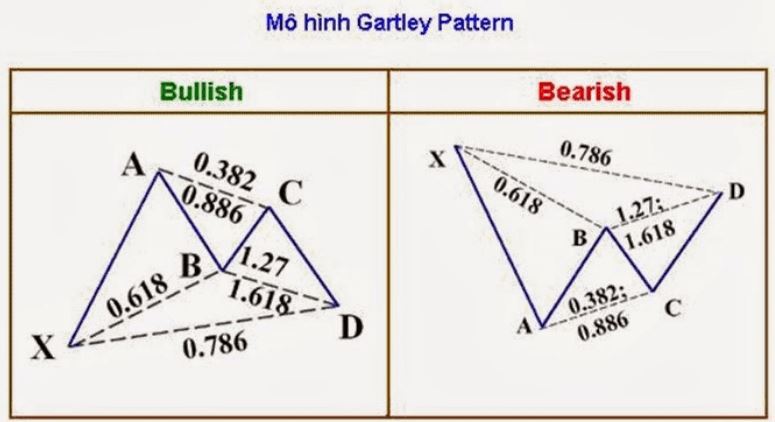 Mô hình Harmonic là gì Đặc điểm và cách giao dịch mẫu hình Harmonic