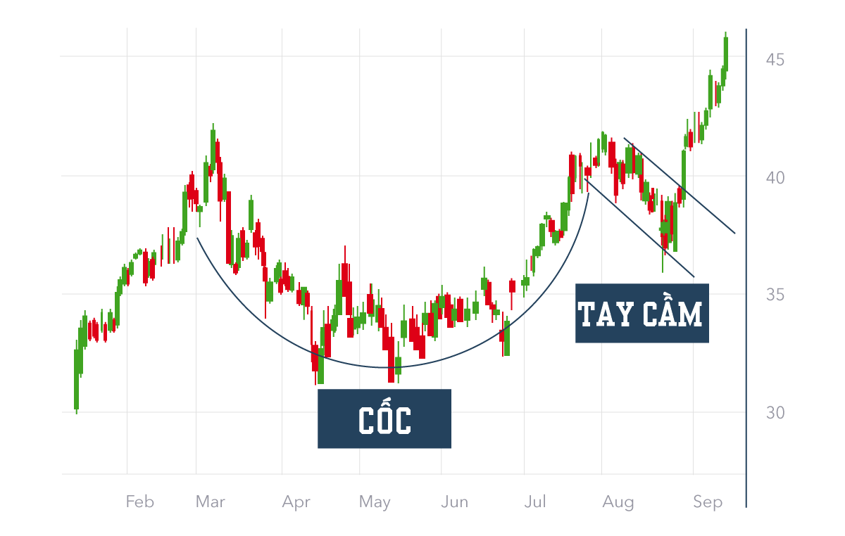 Mô hình cốc tay cầm thuận