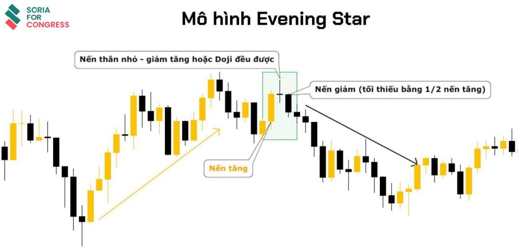Nến sao hôm (Evening star) là gì