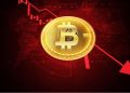Thuật ngữ Crypto cơ bản