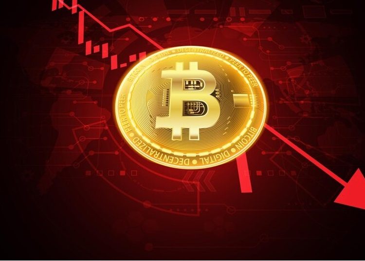 Thuật ngữ Crypto cơ bản